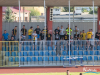 1719img_4646