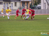 1726img_4628