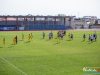 1455img_8486
