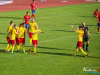 1741img_8516