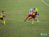 1446img_3411