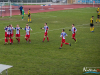 1529img_3438