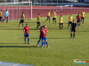 1529img_6949
