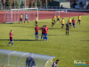 1529img_6951