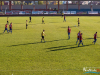 1546img_6964