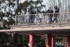1522IMG_1156
