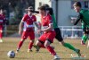 1529IMG_1202