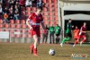 1532IMG_1229