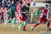 1552IMG_1330
