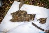 1321IMG_8557