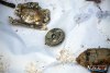1321IMG_8562