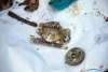 1321IMG_8563