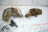 1321IMG_8567
