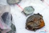 1322IMG_8578