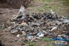 1323IMG_8587