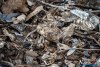 1324IMG_8593