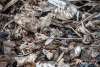 1324IMG_8594