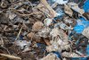 1324IMG_8595