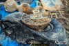 1324IMG_8596
