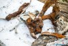1324IMG_8607