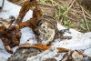 1324IMG_8608