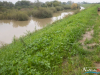 img_1228_wynik