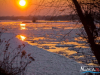 1531img_6367_01_07_2017