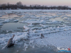 1534img_6400_01_07_2017