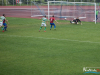 1735img_4047_09_03_2017