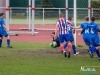 1711img_0393_04_25_2016
