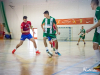 1239_img_0528_wynik