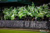 2016IMG_1538