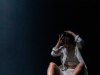 HMIMG_2696