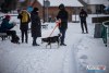 1118IMG_8093