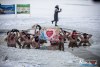 1134IMG_8141