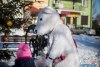 1408IMG_8276