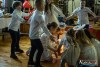 1514IMG_8526