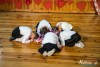 1530IMG_8619