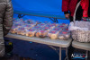 1253IMG_9113