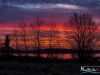 0647img_9744