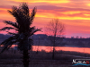 0648img_9750