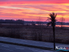 0648img_9751