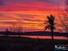 0648img_9753