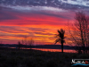 0648img_9754