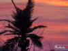 0652img_9777