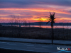 0655img_9802