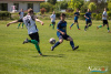 1436IMG_1671_wynik