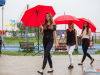 1537img_9740