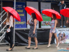 1537img_9750