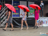 1537img_9751